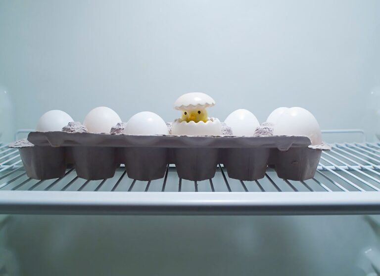 Do Smart Refrigerators Really Prevent Food Waste: Testing Claims - kitchentechinsider